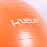 LIVE UP EXERCISE GYM BALLl 65 CM LS-3222