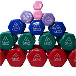 LIFTUP VINYL WEIGHT LIFTING DUMBBELLS PAIR 2 KG
