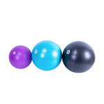 LIVE PRO EXERCISE GYM BALL 55CM LP-8201