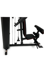 MAXIMUM HOME GYM FITNESS FULL BODY WORKOUT 125-LBS
