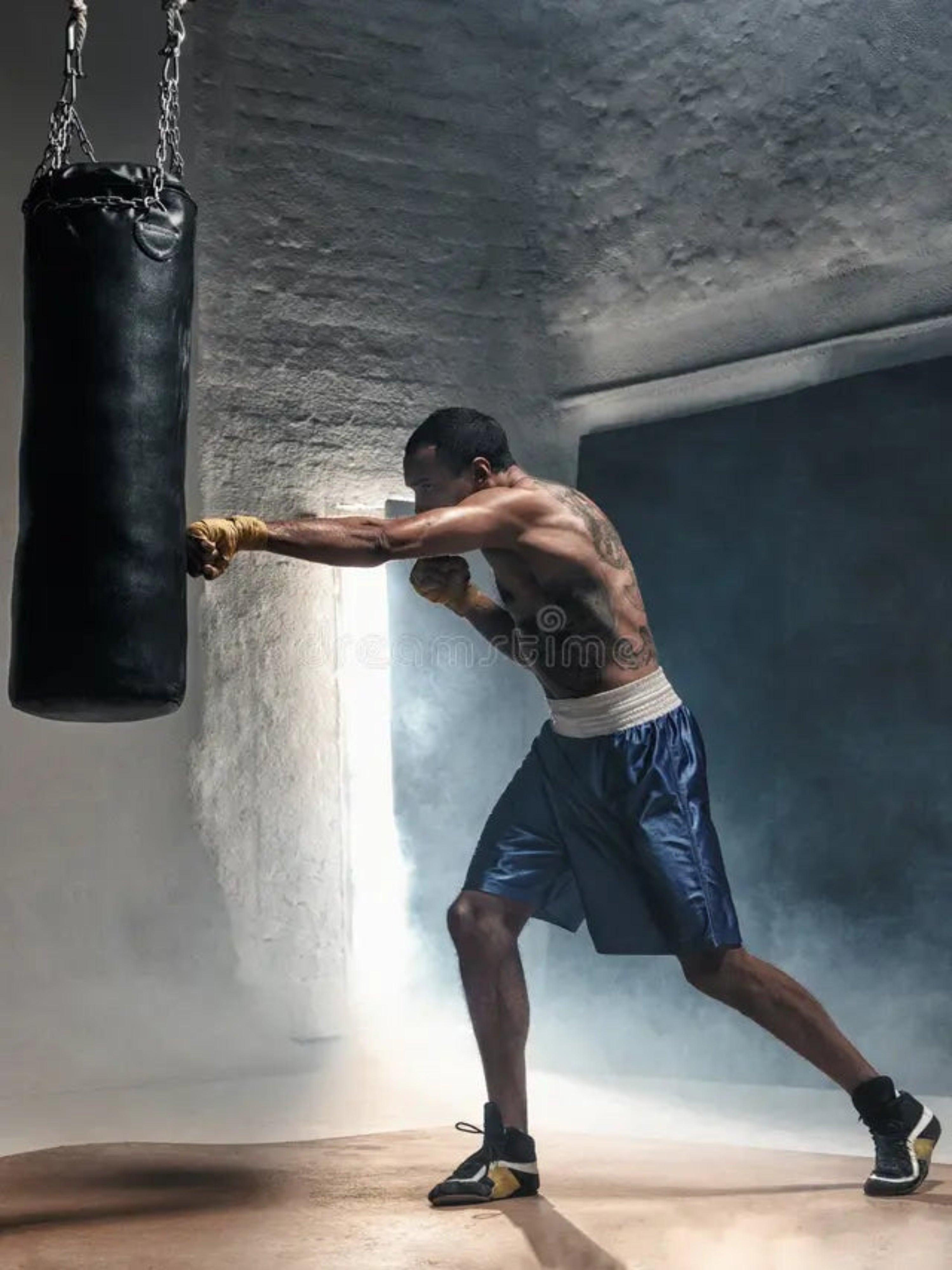 Boxing & MMA